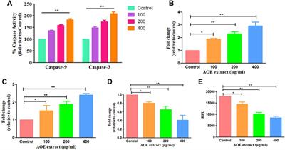 In Vitro Evaluation of Antioxidant, Anticancer, and Anti-Inflammatory Activities of Ethanolic Leaf Extract of <mark class="highlighted">Adenium</mark> obesum